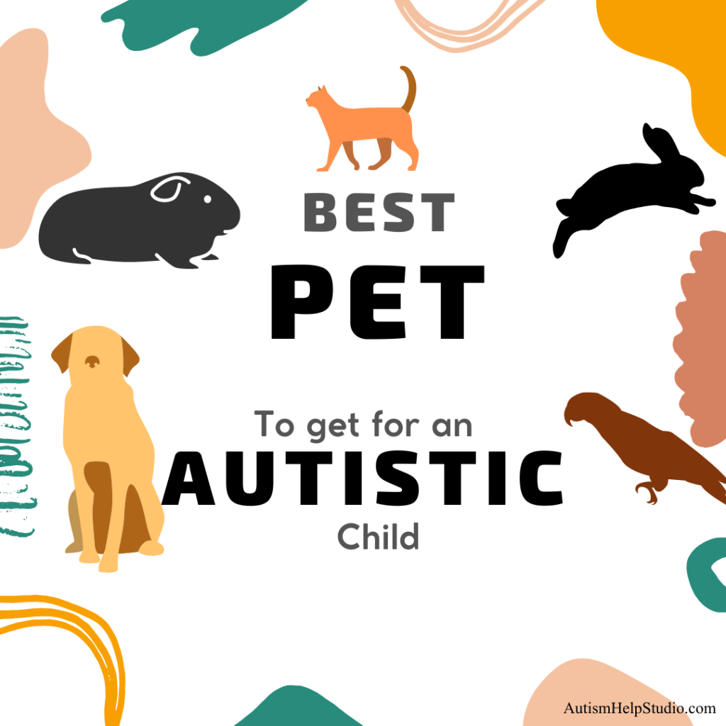Top 10 Special Pets For An Autistic Child - Autism Help Studio